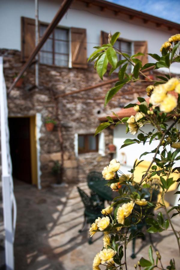 Casa Adalcina Apartment Mirandela Exterior foto